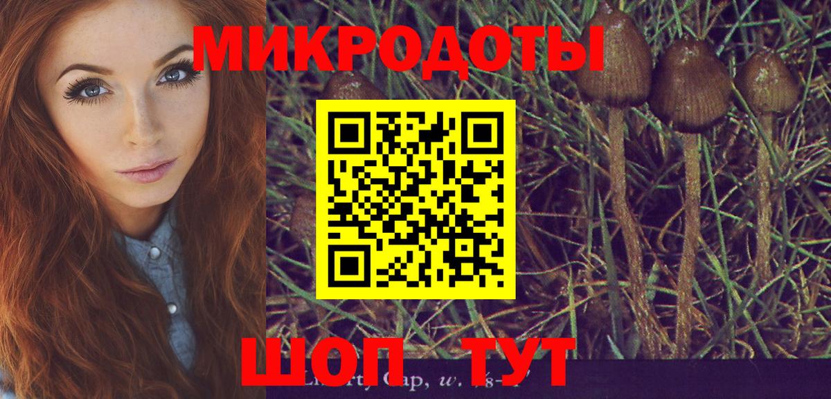Псилоцибиновые грибы мухоморы  Псилоцибиновые грибы MAGIC MUSHROOMS  Нефтекумск  где продают   Вход с VPN 
