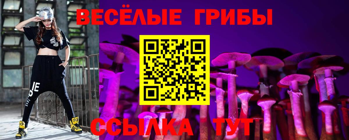 Псилоцибиновые грибы ЛСД Нефтекумск